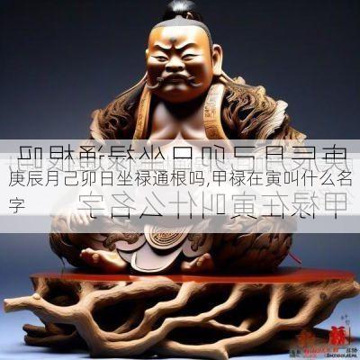 庚辰月己卯日坐禄通根吗,甲禄在寅叫什么名字